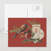 Vintage Neujahrsvögel Feiertagspostkarte (Vorne/Hinten)