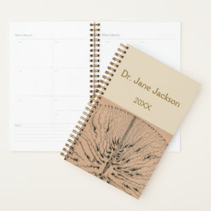 Vintage Neurologie Zeichnend - Ärzte Planer