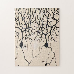 Vintage-Neuron-Zeichnung von Santiago Ramón y Caja Puzzle