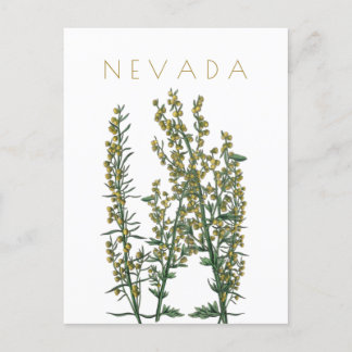 Vintage Nevada Staat Blume Reise Mitte des Jahrhun Postkarte
