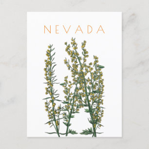 Vintage Nevada Staat Blume Reise Mitte Jahrhundert Postkarte