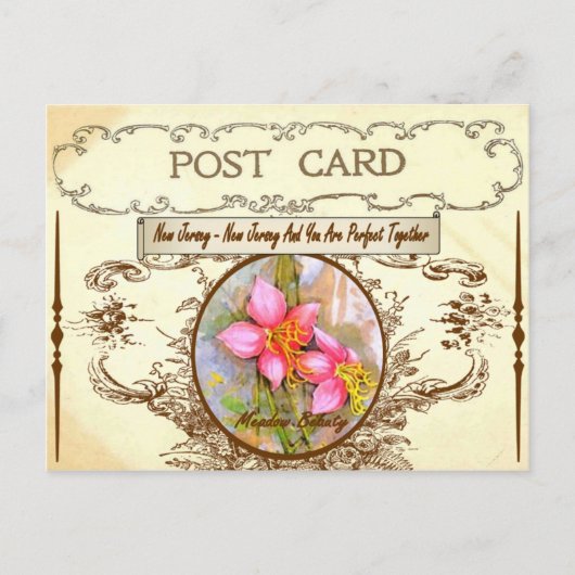 Vintage New Jersey Staat Blume Postkarte (Vorderseite)