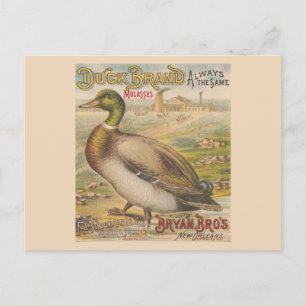 Vintage New Orleans Louisiana Retro Melasse Postkarte