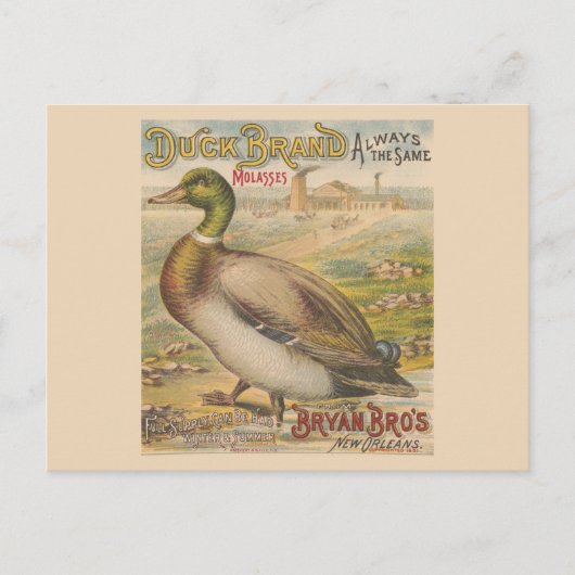 Vintage New Orleans Louisiana Retro Molasses Postkarte (Vorderseite)