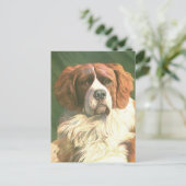 Vintage Newfoundländer Postkarte (Stehend Vorderseite)
