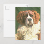 Vintage Newfoundländer Postkarte (Vorne/Hinten)