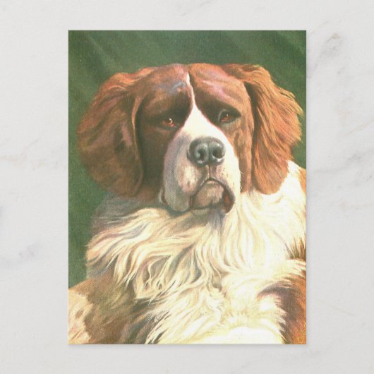 Vintage Newfoundländer Postkarte (Vorderseite)