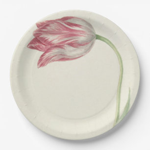 Vintage niederländische Kunst: Rosa und weiße Tulp Pappteller