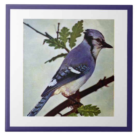 Vintage Niedliche Blaue Vogelart und Foliage Fliese (Vorderseite)