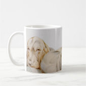 Vintage Niedliche Bluthunde, Welpenhunde von EJ De Kaffeetasse (Links)