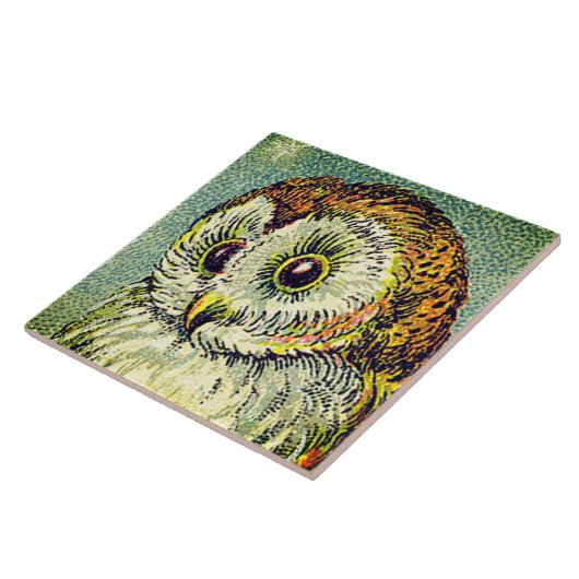 Vintage niedliche Eule-Abbildung Fliese (Seite)