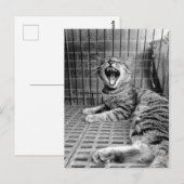 Vintage Niedliche Gähnen Katze Kitty Postkarte (Vorne/Hinten)