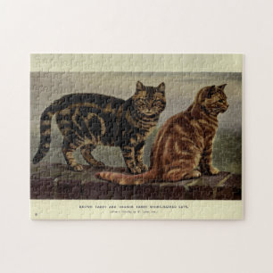 Vintage Niedliche Katzen Brauner Orangefarbene Tab Puzzle