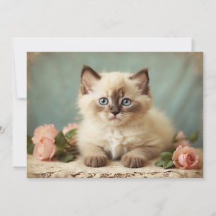 Vintage Niedliche Ragdoll Kitten Portrait Blume Sw Feiertagskarte