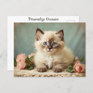 Vintage Niedliche Ragdoll Kitten Portrait Blume Sw Postkarte