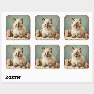 Vintage Niedliche Ragdoll Kitten Portrait Blume Sw Quadratischer Aufkleber