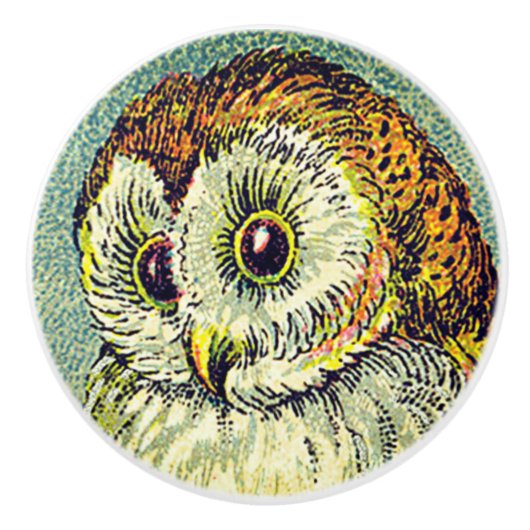 Vintage niedliche Scheuneneule Sternbild Keramikknauf (Vorderseite)