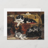 Vintage Niedliche Schwarz-Weiß-Katze mit Kätzchen Postkarte (Vorne/Hinten)