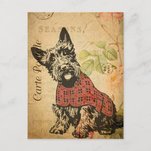 Vintage Niedliche Scottish Terrier Dog Floral Fran Postkarte