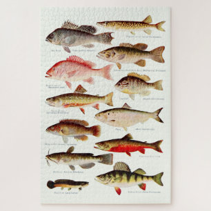 Vintage nordamerikanische Fische Puzzle