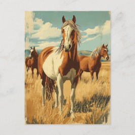 Vintage North America Wildhorses  Postkarte