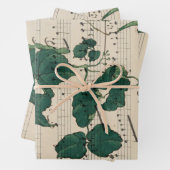 Vintage Noten-Blätter Geschenkpapier Set (Beispiel)