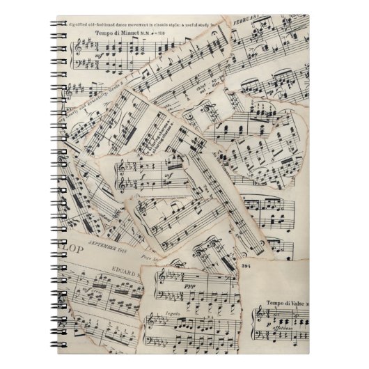 Vintage Notenpapiersammlung Notizblock (Vorderseite)