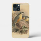 Vintage NuthatchIllustration Case-Mate iPhone Hülle (Rückseite)