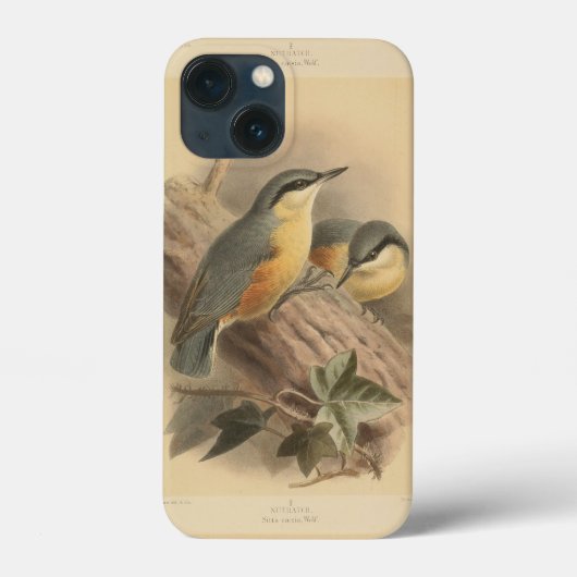 Vintage NuthatchIllustration Case-Mate iPhone Hülle (Rückseite)