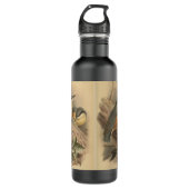 Vintage NuthatchIllustration Edelstahlflasche (Vorderseite)