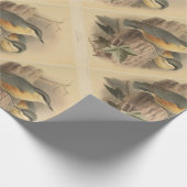 Vintage NuthatchIllustration Geschenkpapier (Ecke)