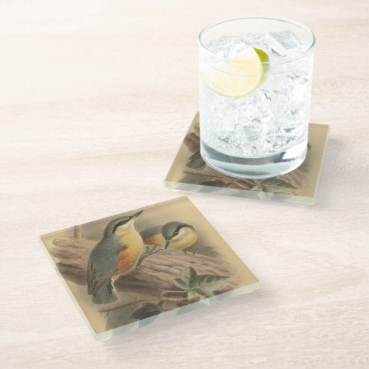 Vintage NuthatchIllustration Glasuntersetzer (Schrägansicht)