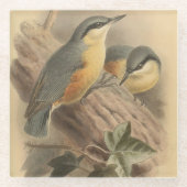Vintage NuthatchIllustration Glasuntersetzer (Vorderseite)
