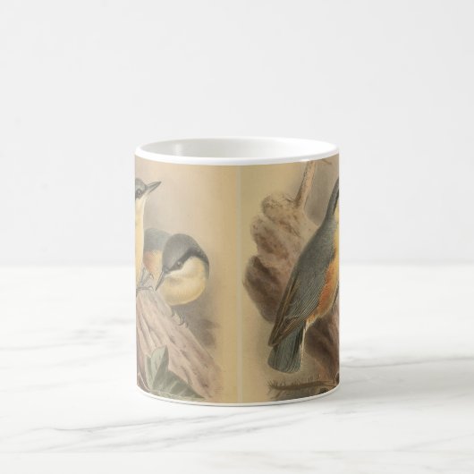 Vintage NuthatchIllustration Kaffeetasse (Mittel)