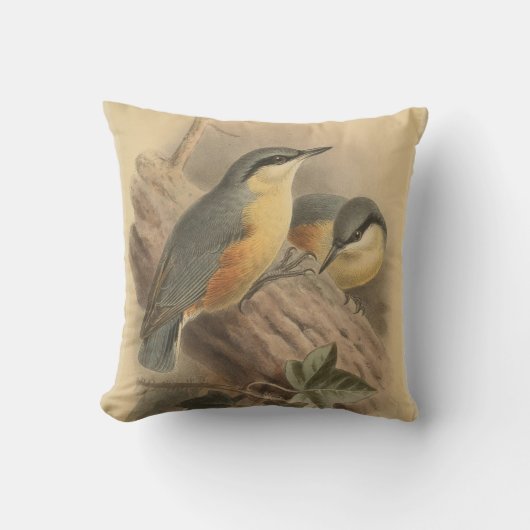 Vintage NuthatchIllustration Kissen (Vorderseite)