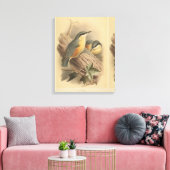 Vintage NuthatchIllustration Leinwanddruck (Insitu (Wohnzimmer))