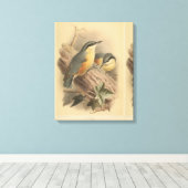 Vintage NuthatchIllustration Leinwanddruck (Insitu (Holzboden))