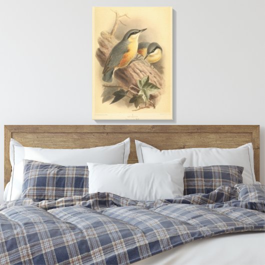 Vintage NuthatchIllustration Leinwanddruck (Insitu (Schlafzimmer))