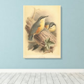Vintage NuthatchIllustration Leinwanddruck (Insitu (Holzboden))