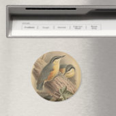 Vintage NuthatchIllustration Magnet (In Situ (Geschirrspüler))