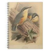Vintage NuthatchIllustration Notizblock (Vorderseite)