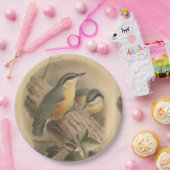 Vintage NuthatchIllustration Pappteller (Party)