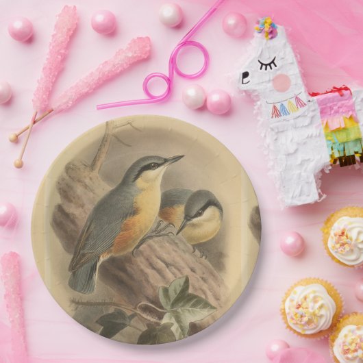 Vintage NuthatchIllustration Pappteller (Party)