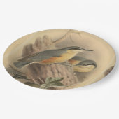 Vintage NuthatchIllustration Pappteller (Schrägansicht)