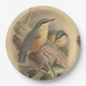 Vintage NuthatchIllustration Pappteller (Vorderseite)