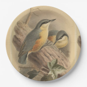 Vintage NuthatchIllustration Pappteller