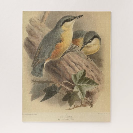 Vintage NuthatchIllustration Puzzle (Vertikal)