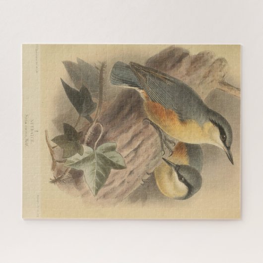Vintage NuthatchIllustration Puzzle (Horizontal)