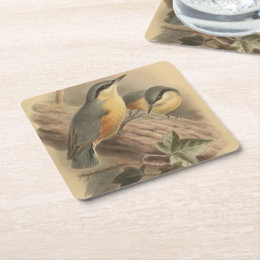 Vintage NuthatchIllustration Rechteckiger Pappuntersetzer (angewinkelt)
