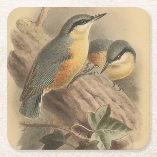 Vintage NuthatchIllustration Rechteckiger Pappuntersetzer (Vorderseite)